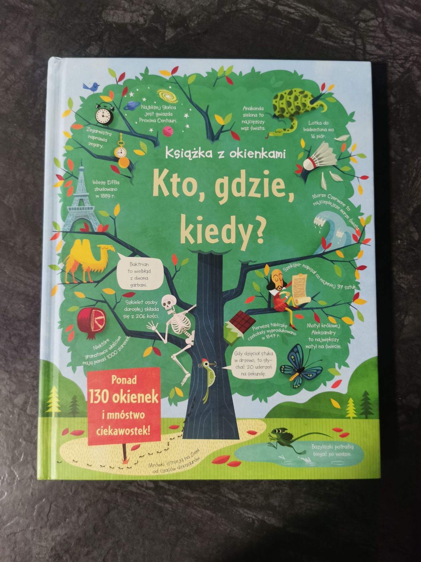 Książka kto gdzie kiedy ponad 130 okienek z okienkami Oprawa twarda