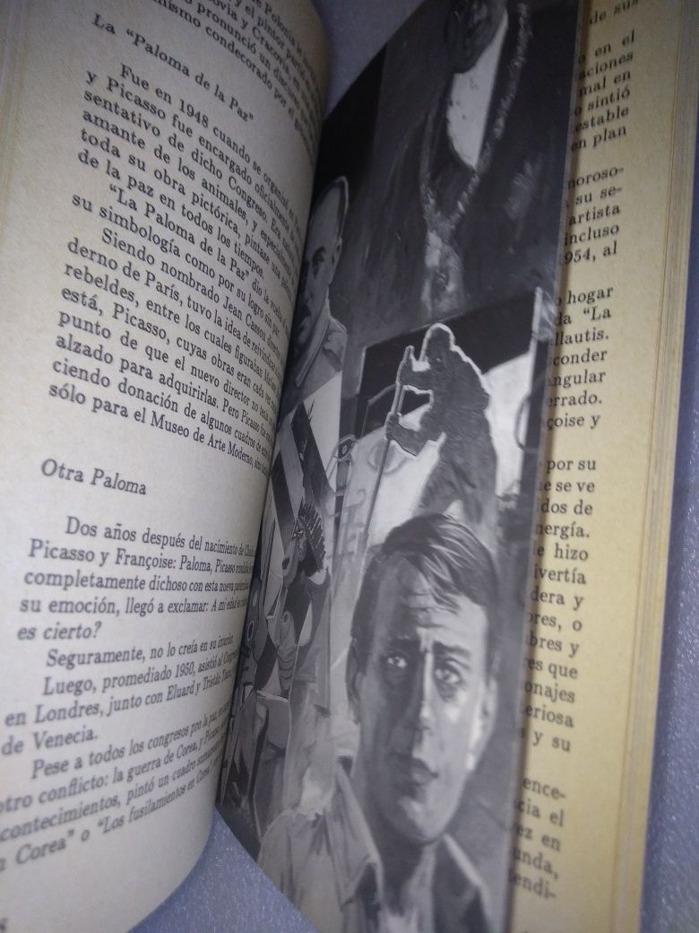 Livro Antigo de Picasso - 1991