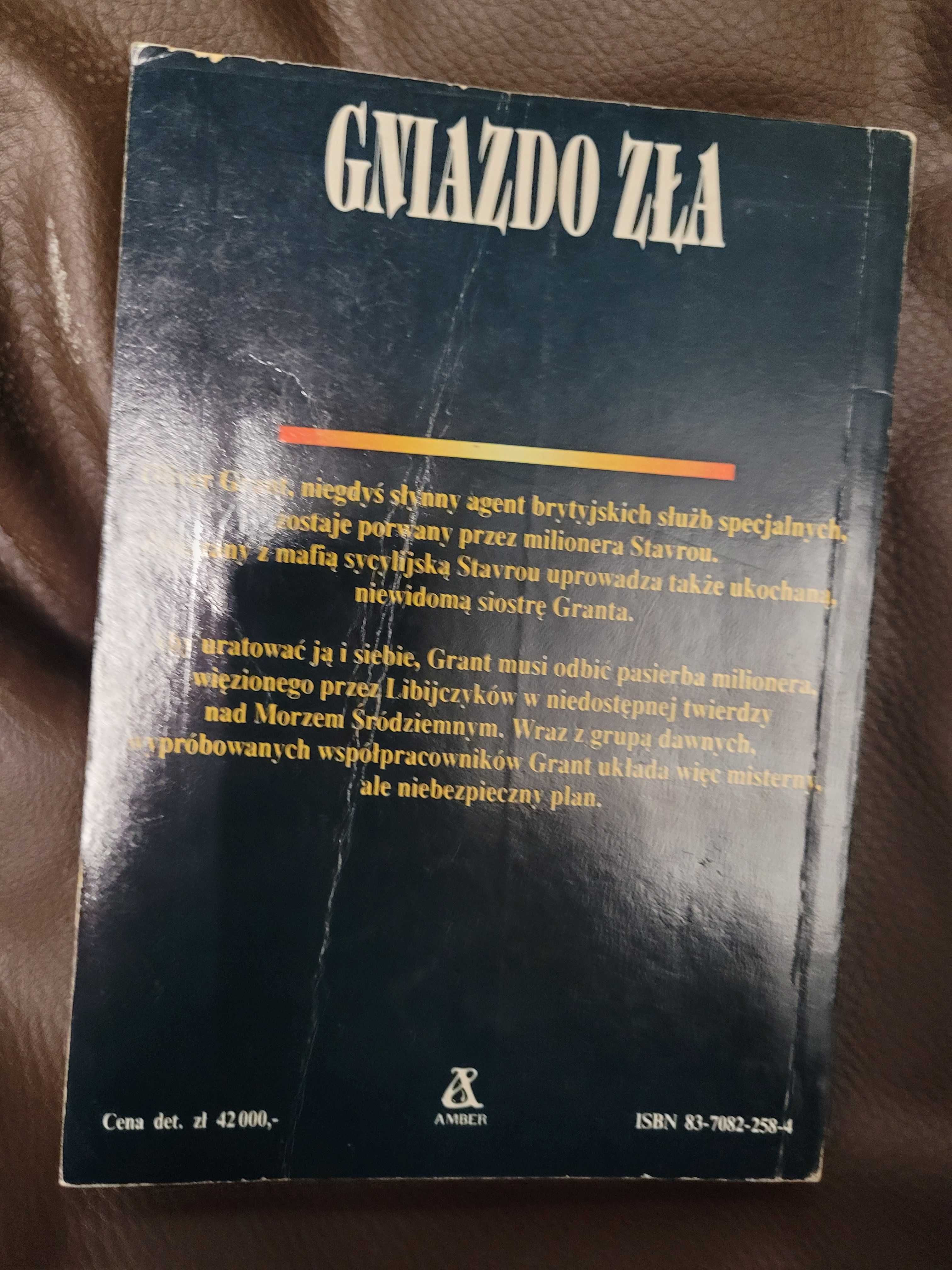 Gniazdo zła - Jack Higgins