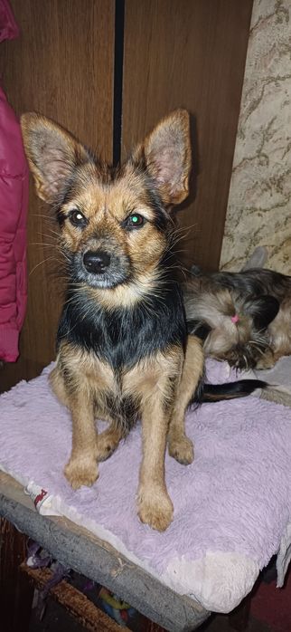 Ярка дівчинка з вагою 5 кг