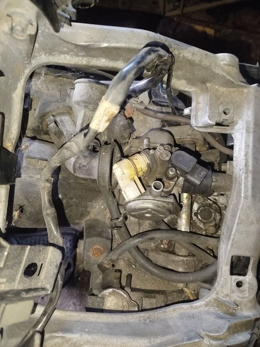 Хонда діо 56 продам