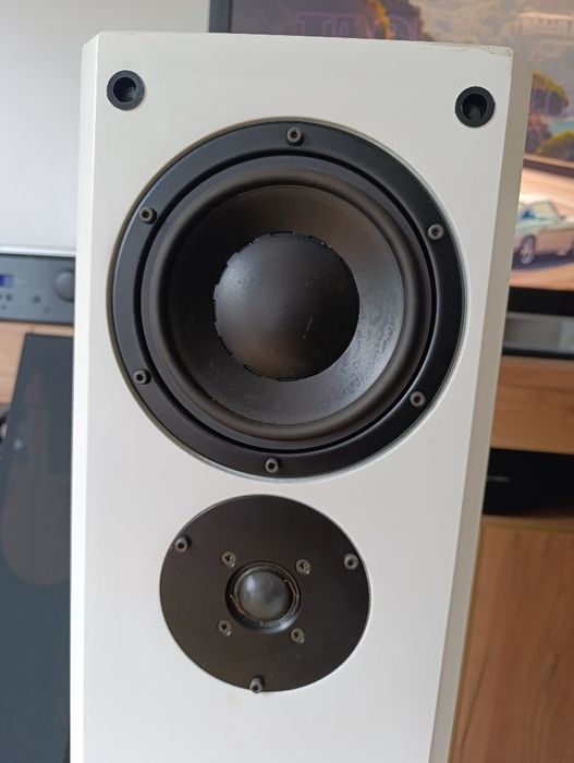 Unikatowe Białe kolumny dynaudio, Xanadu DS17