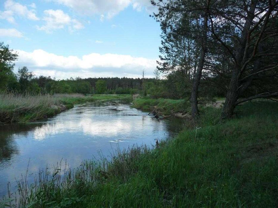 Atrakcyjne siedlisko, 13,5 ha, Puszcza kozienicka