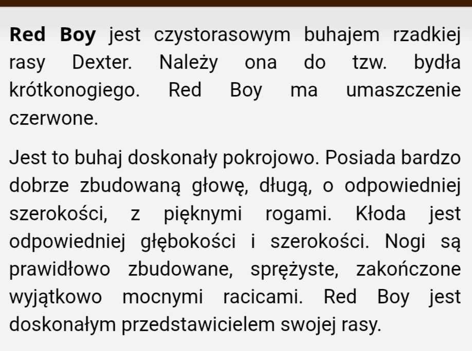 Krowa dexter sprzedam
