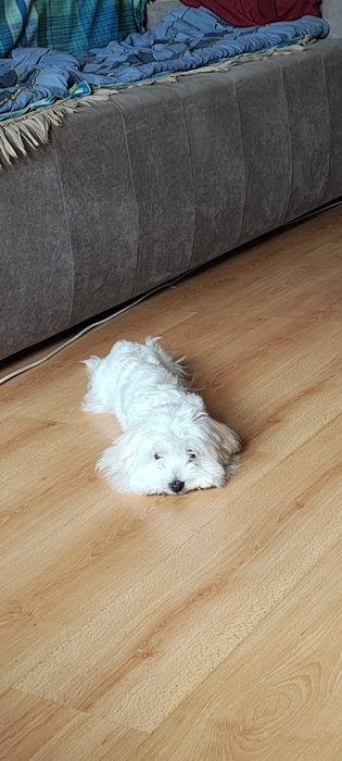 Хлопчик для вязки