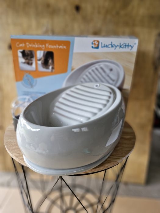Poidełko Lucky Kitty dla kota