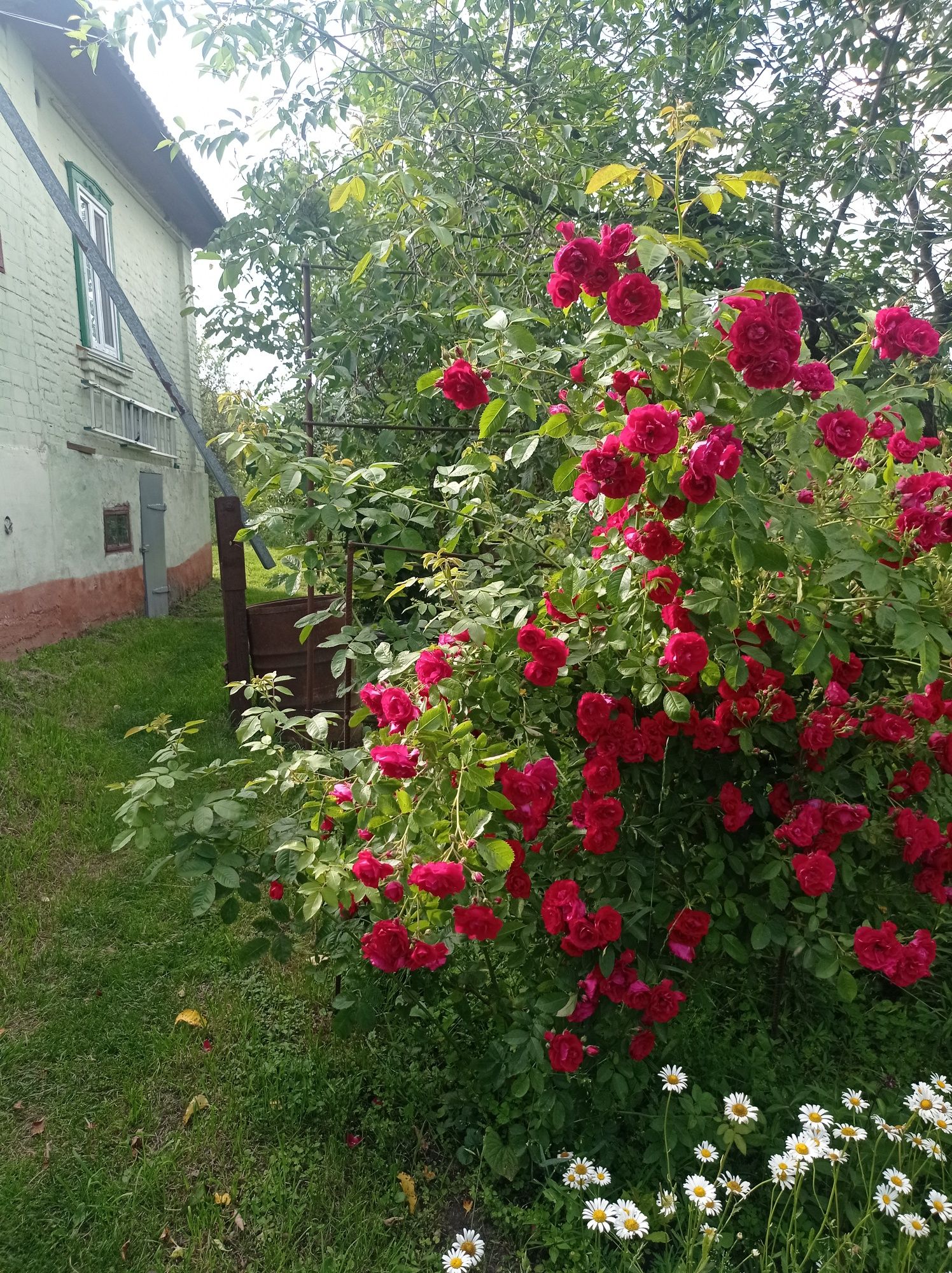 Садиба біля міста в селі Льгів. єВідновлення. ЗРУЧНОСТІ.