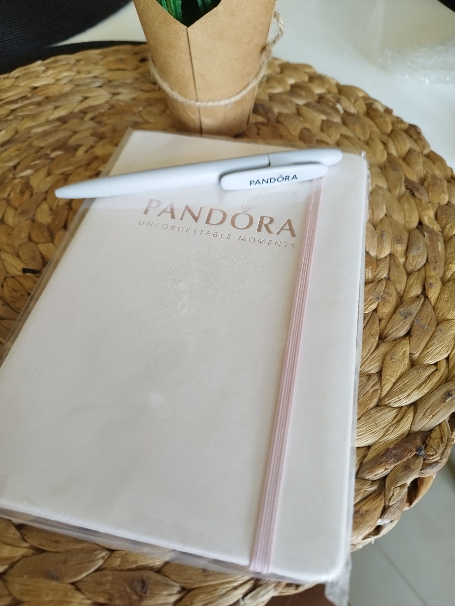 Pandora notes/pamiętnik i długopis