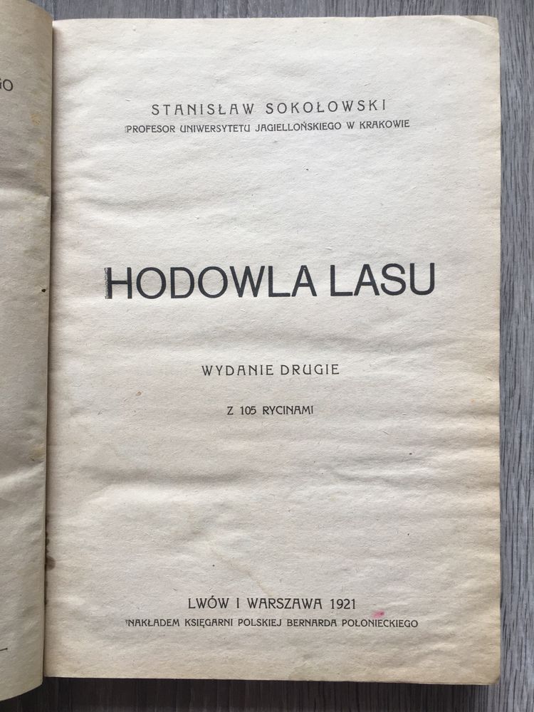 Hodowla lasu Sokołowski Lwów 1921 leśnictwo