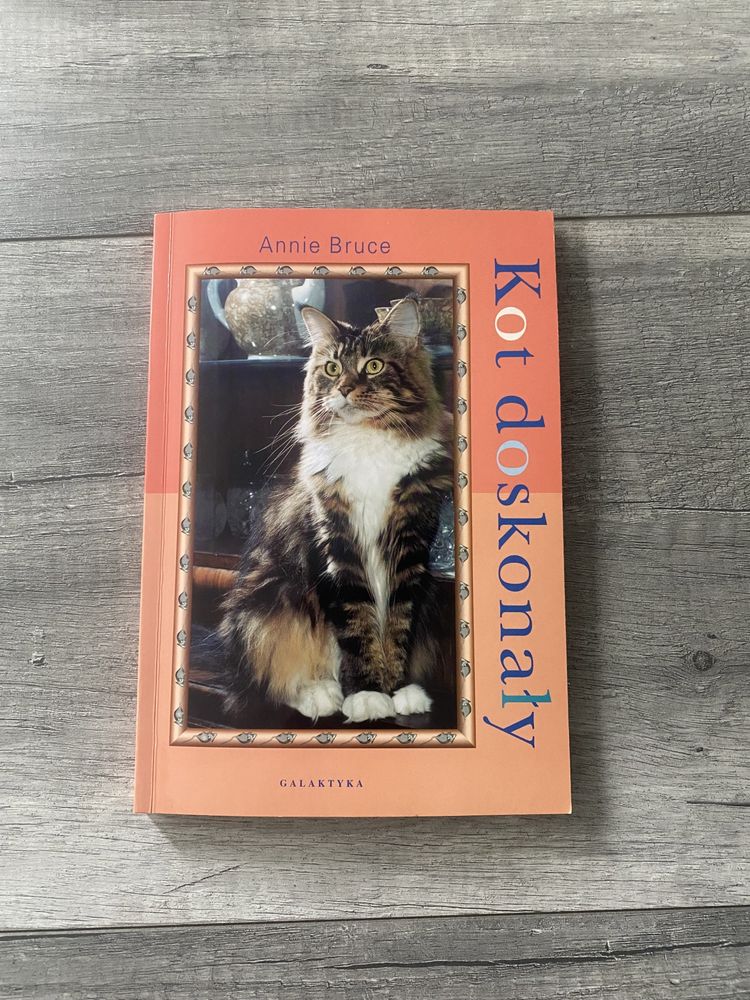 Kot doskonaly Annie Bruce poradnik