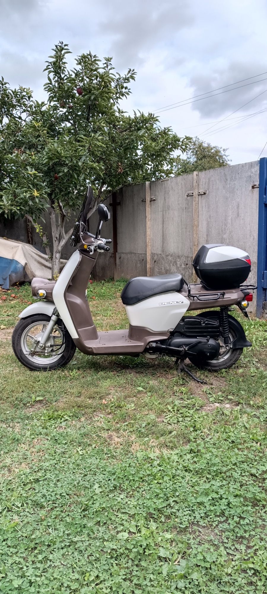 Скутер Honda Benly 50