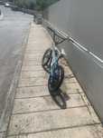 BMX pro XL Master