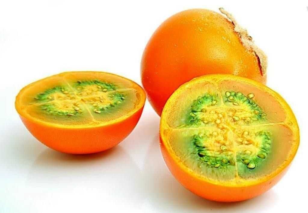 Naranjilla (lulo) Solanum quitoense - Sementes