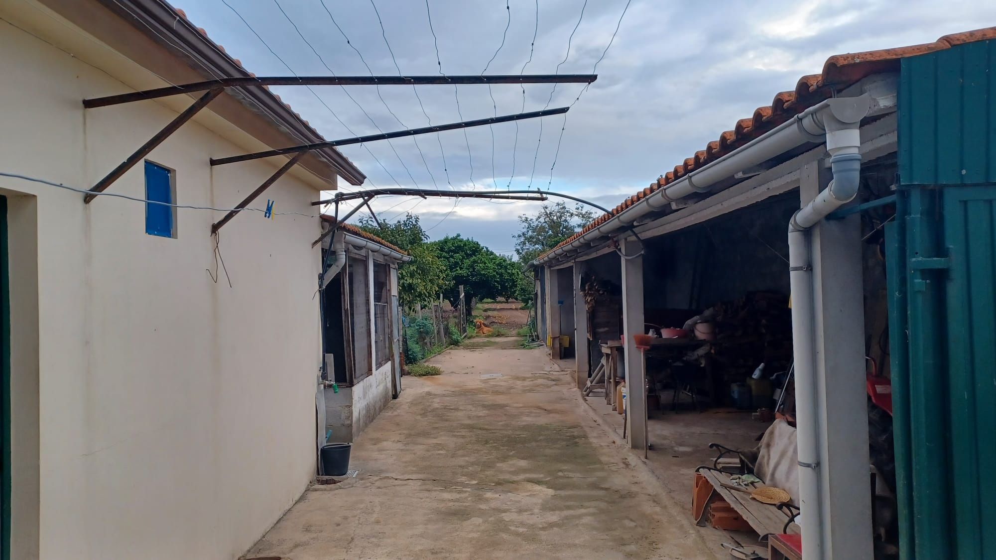 Venda de casa rural