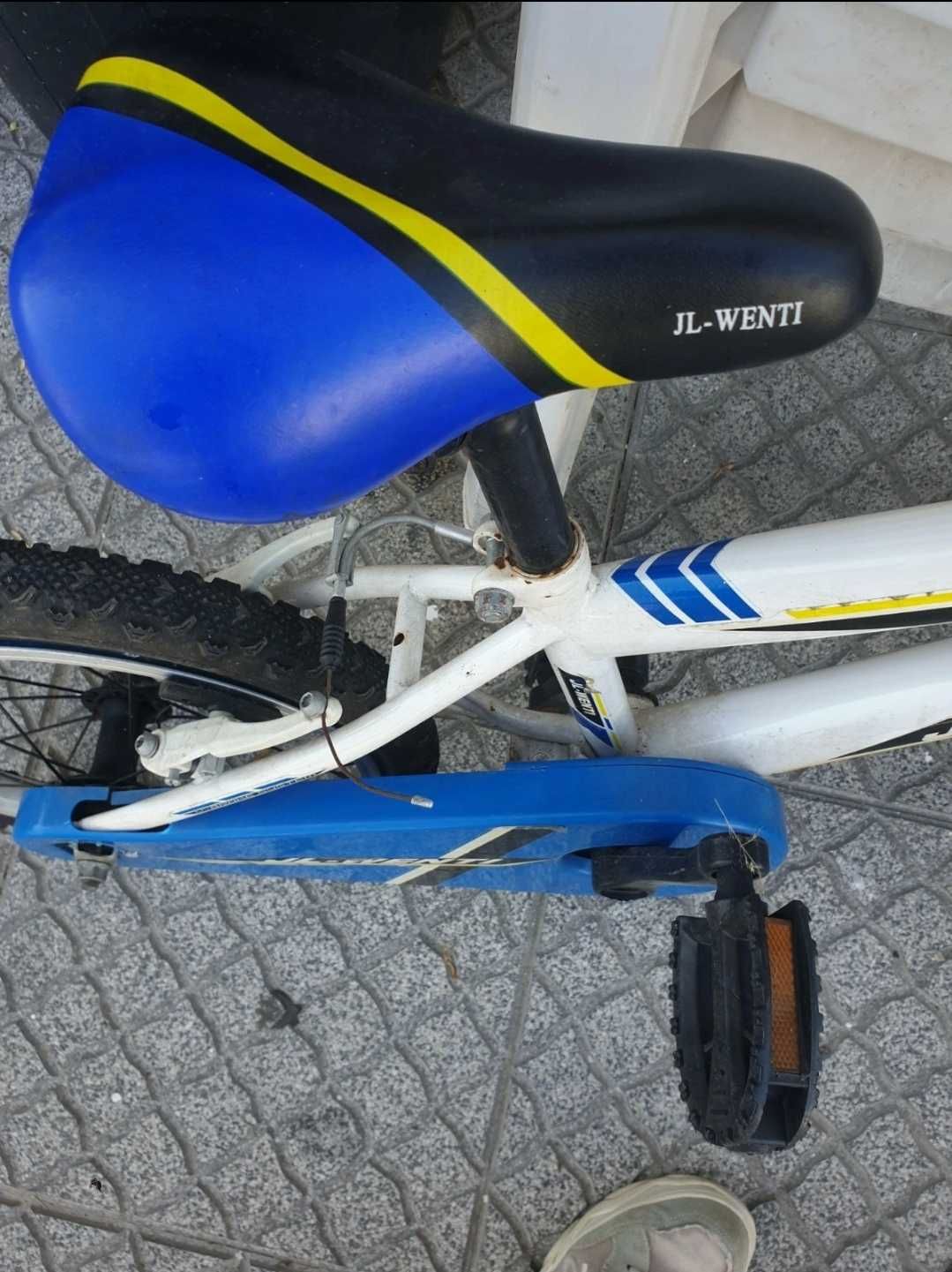 Bicicleta menino