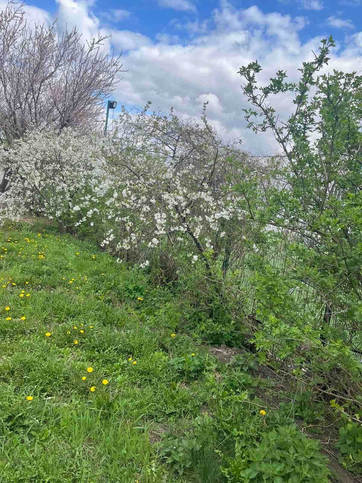 Продам будинок Нова Водолага