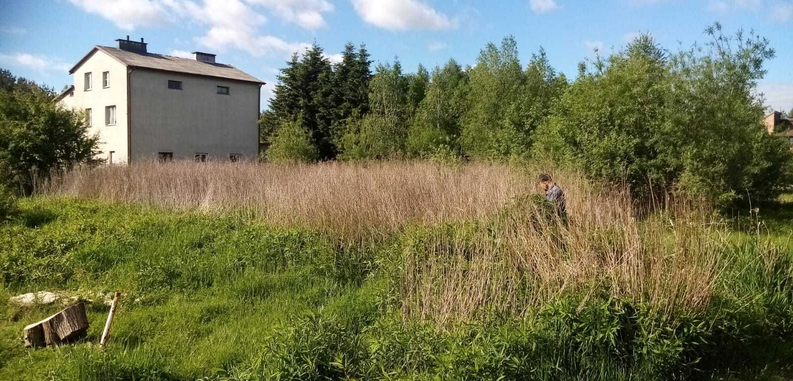 Mulczowanie Wycinka drzew Mulczer Leśny Czyszczenie działek PILAR