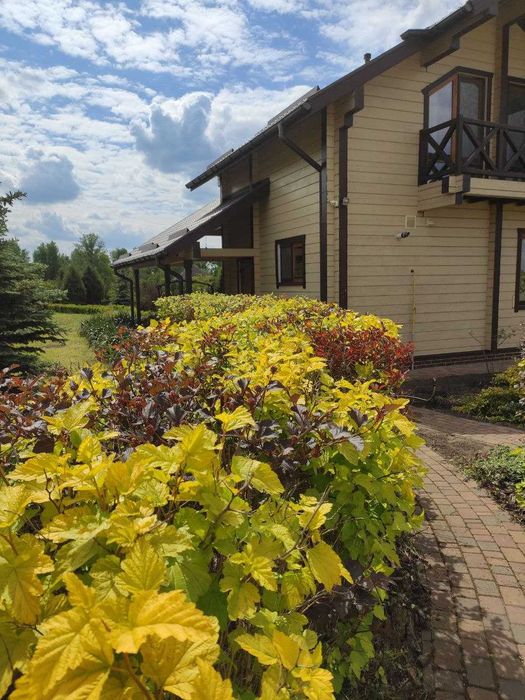 Оренда чудового будинку на березі річки,с.Вишеньки,сонячні батареї!