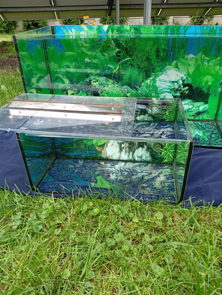 Akwarium 31,5l prostokatne