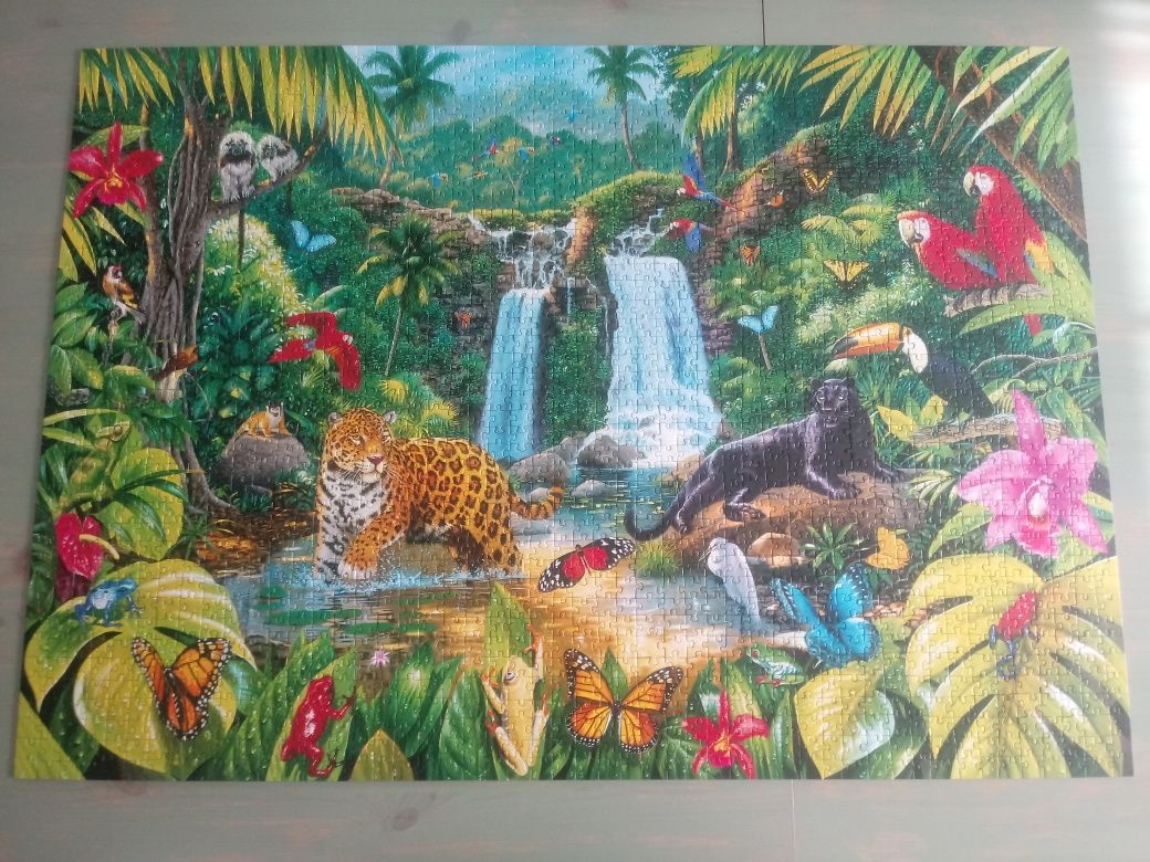 Trefl puzzle 2000 Las tropikalny kompletne