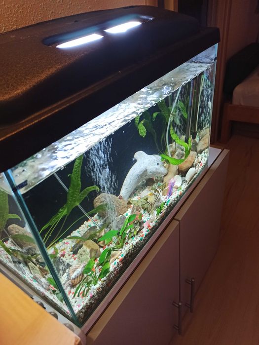 Sprzedam akwarium 70 l wraz z akcesoriami