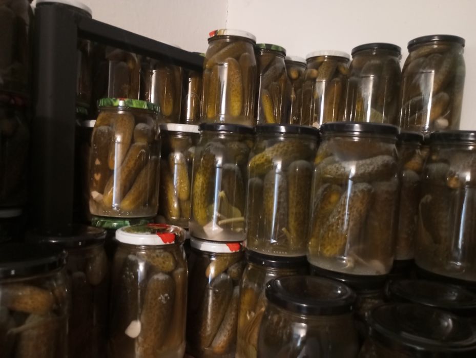 4x Ogórki Kiszone, 2025, link do użycia