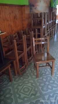 Lote de 24 cadeiras
