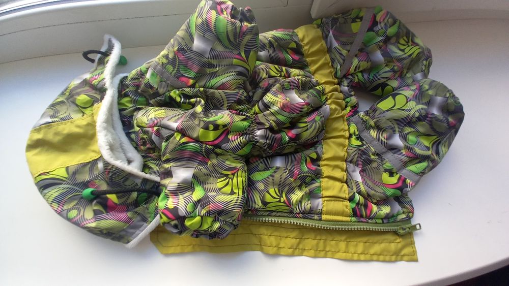 Собачка,порода-йоркширский терьер.