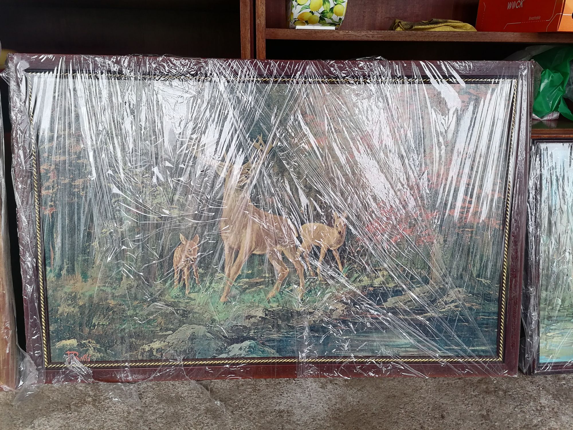 Pinturas a óleo, assinadas e emoldurados