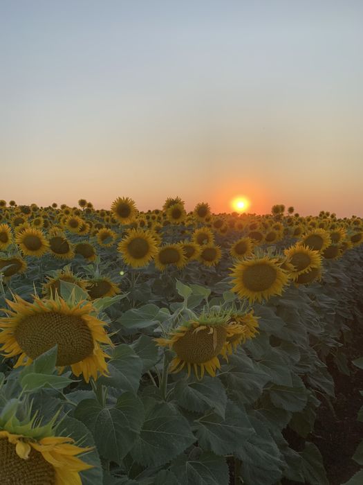 Візьму Оренду землі