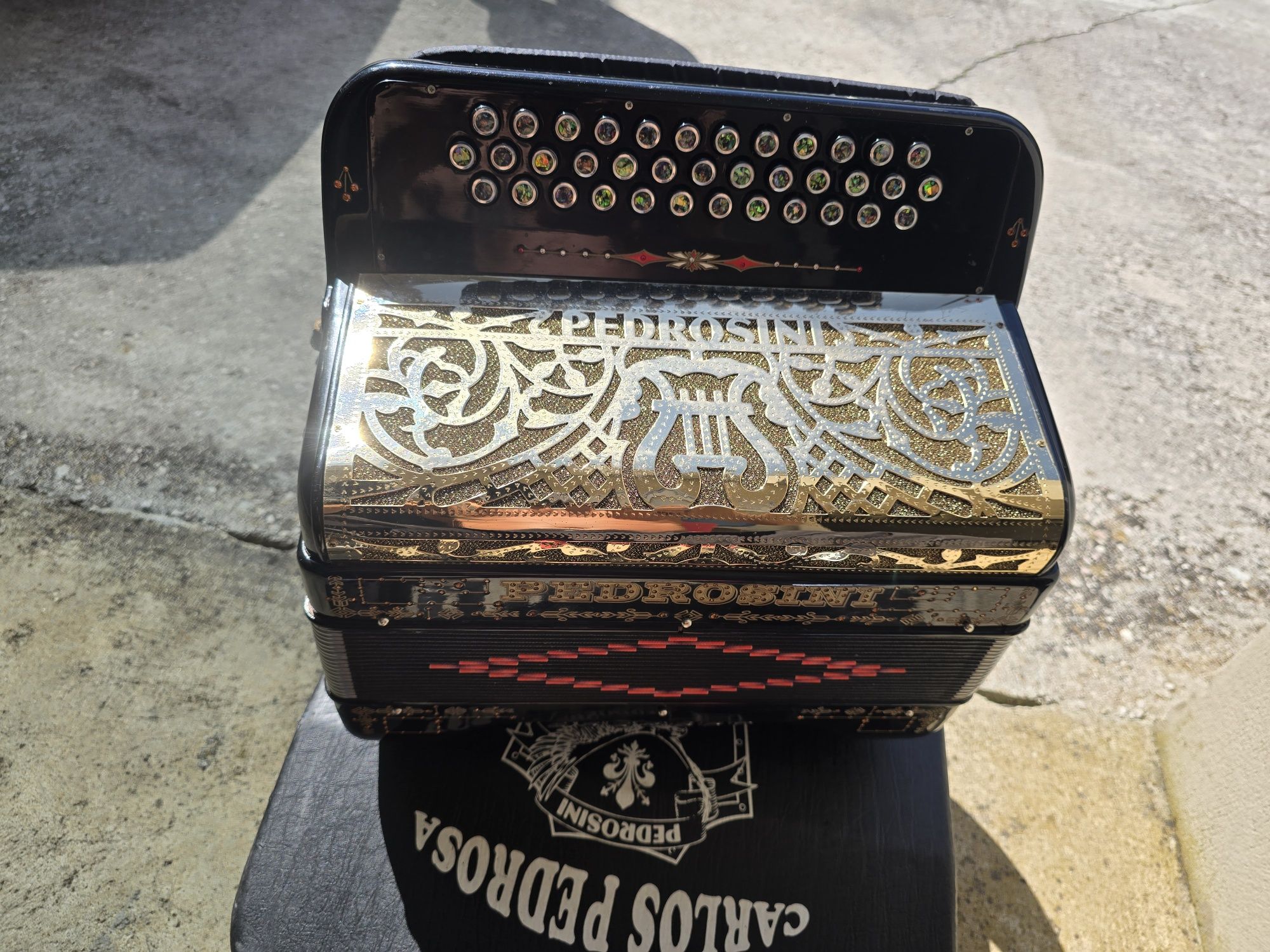 Concertina pedrosini