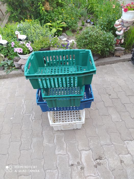 Продам ящики для хранения и транспортировки овощей, фруктов и других .