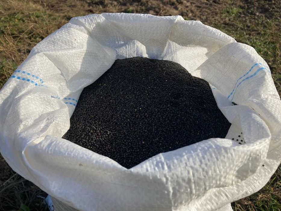 Rzepak Naturalny Siewny bez Glifosatu 20 KG