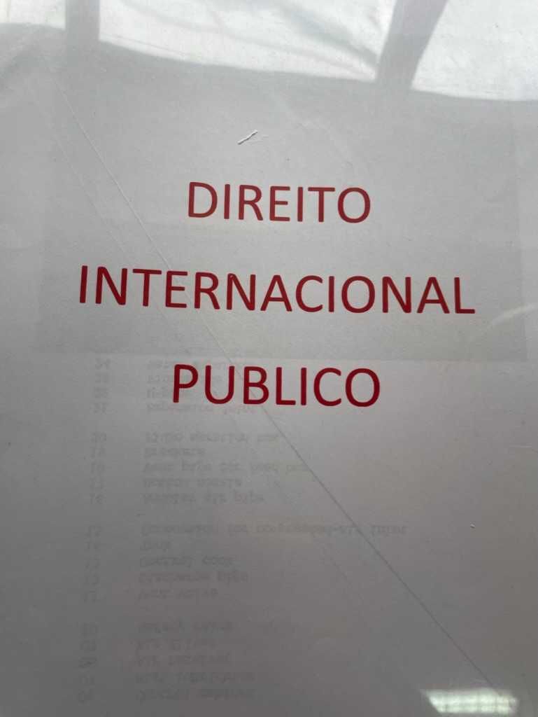 resumos de direito internacional publico
