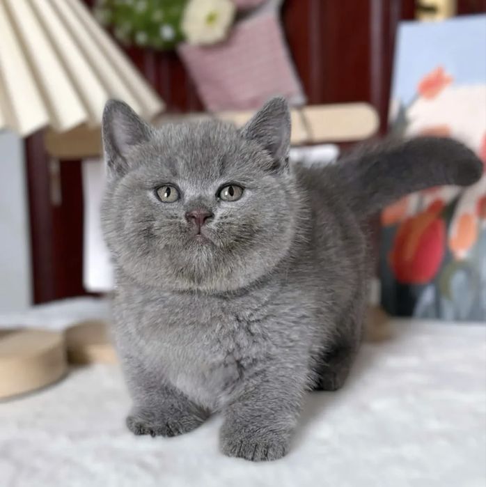 Чудо милый мальчик