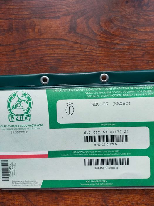 Koń ,ogierek huculski 15 miesięcy z pochodzeniem  wzrost 134 cm
