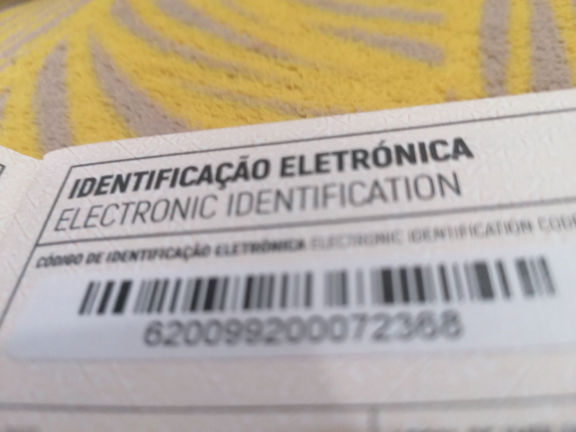 Gatinha para venda