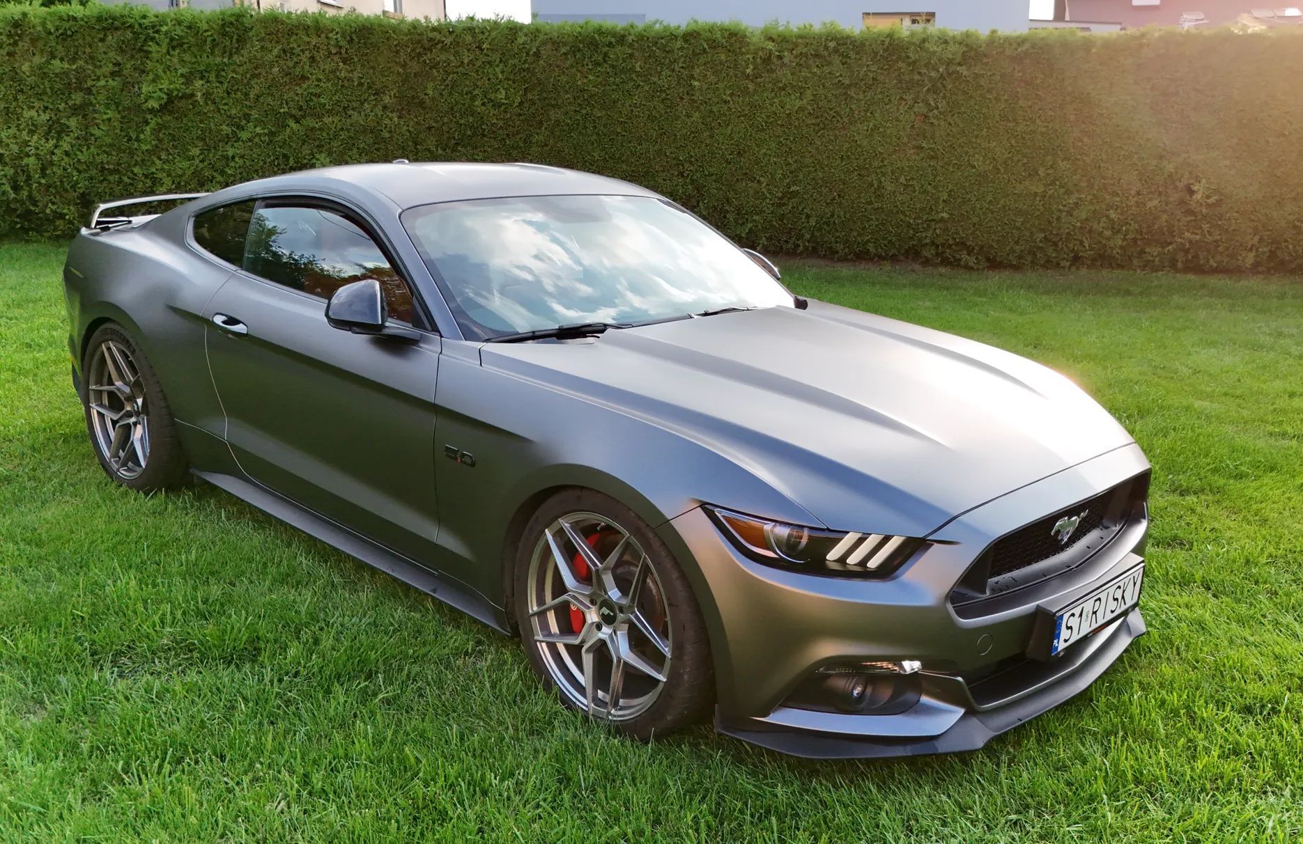 Ford Mustang Ford Mustang GT 5.0 V8