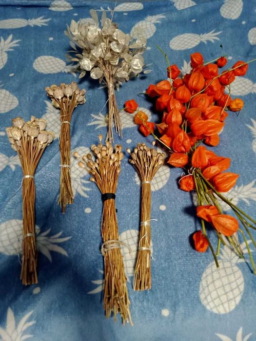 Сухоцвіти( мак, льон, кермек, лаванда,жито,овес,лагурус,фізаліс)