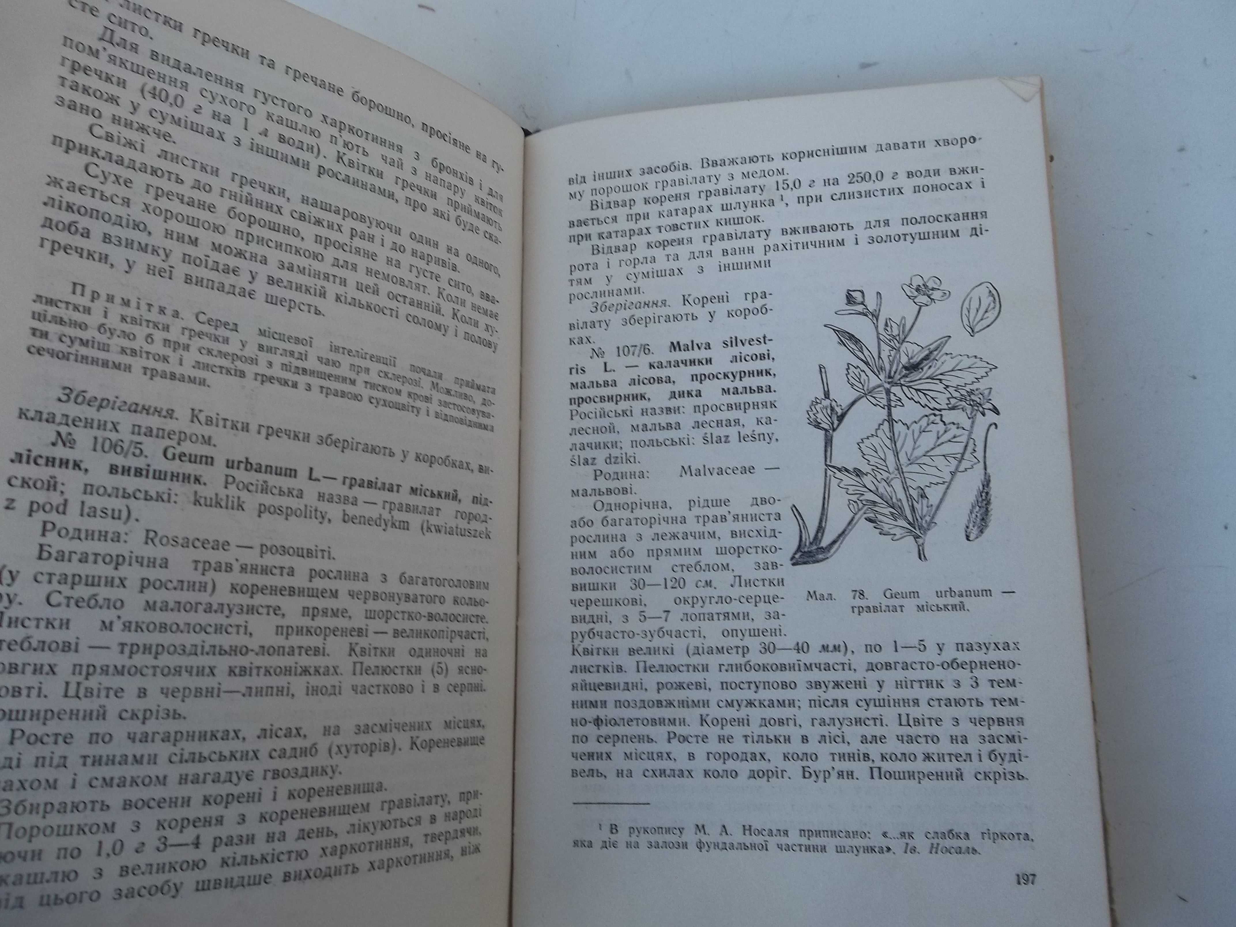 Лекарственные растения и способы их применения в народе 1964 г.