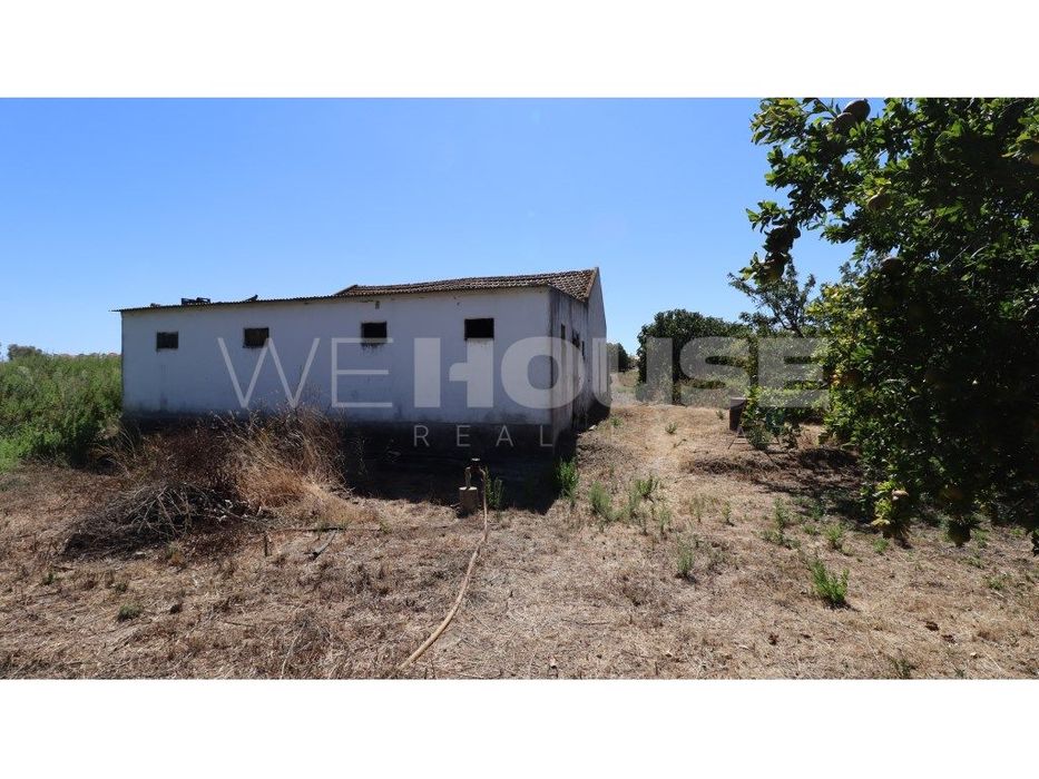 Terreno com Viabilidade de construção próximo de Alcochete