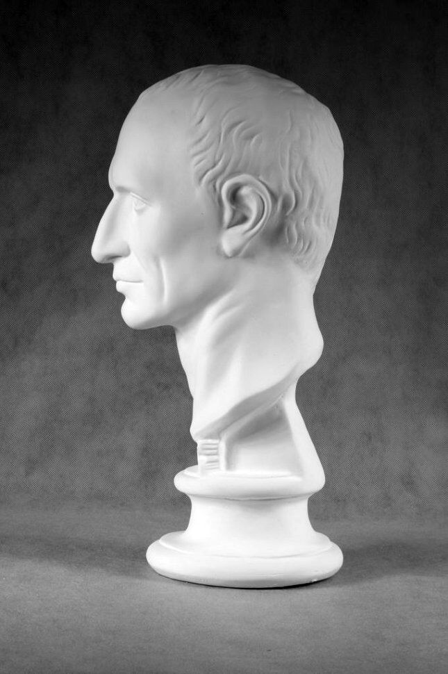Голова Юлия Цезаря гипсовая скульптура