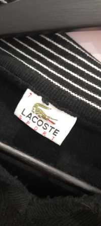 Lacoste sweter        .