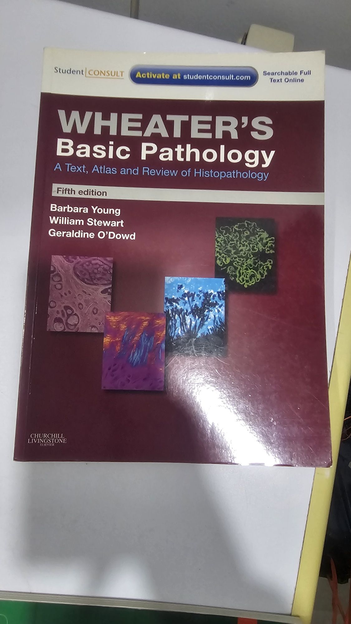Livro - Wheater's! Basic Pathology