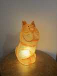Candeeiro Luminária Gato