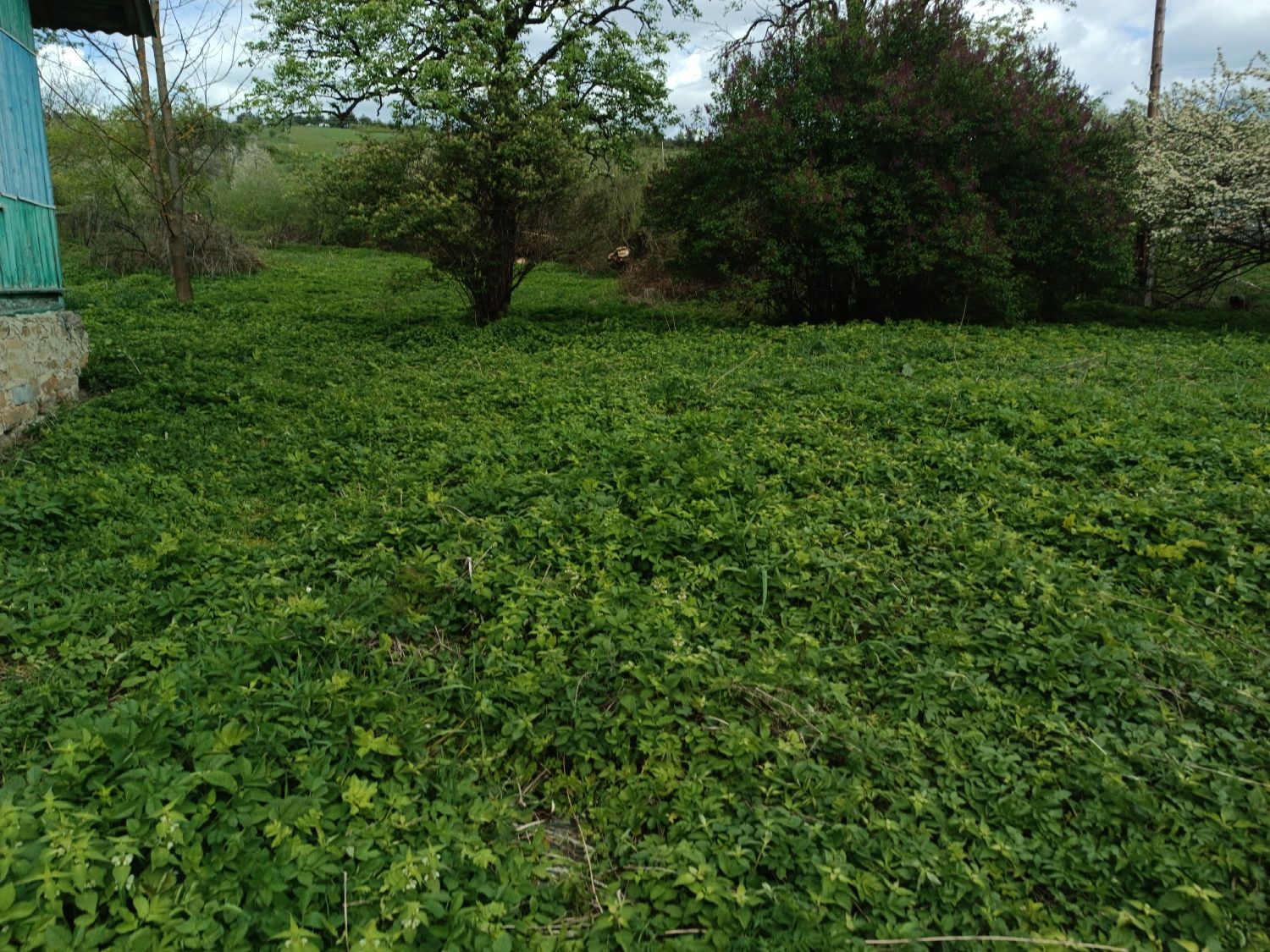 Продам будинок. Старосамбірський район, с.Біличі