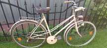 Rower damka holenderski