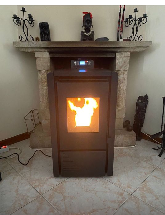 Salamandra a palett 6 k