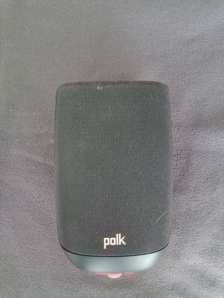 Coluna Polk google assist.