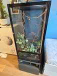 Sprzedam terrarium wraz z oświetleniem